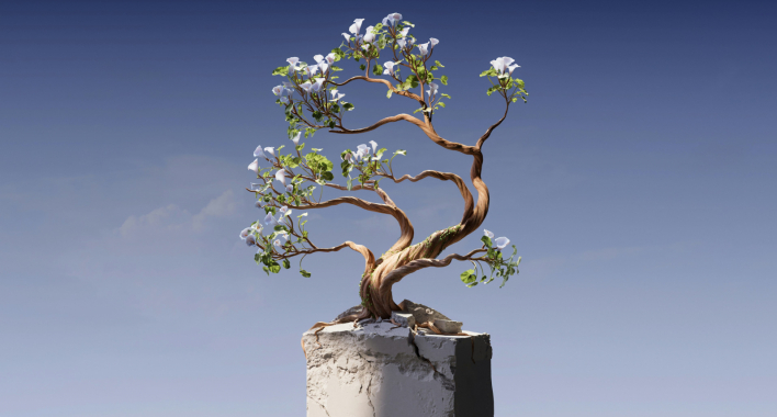 bonsai growing from a block